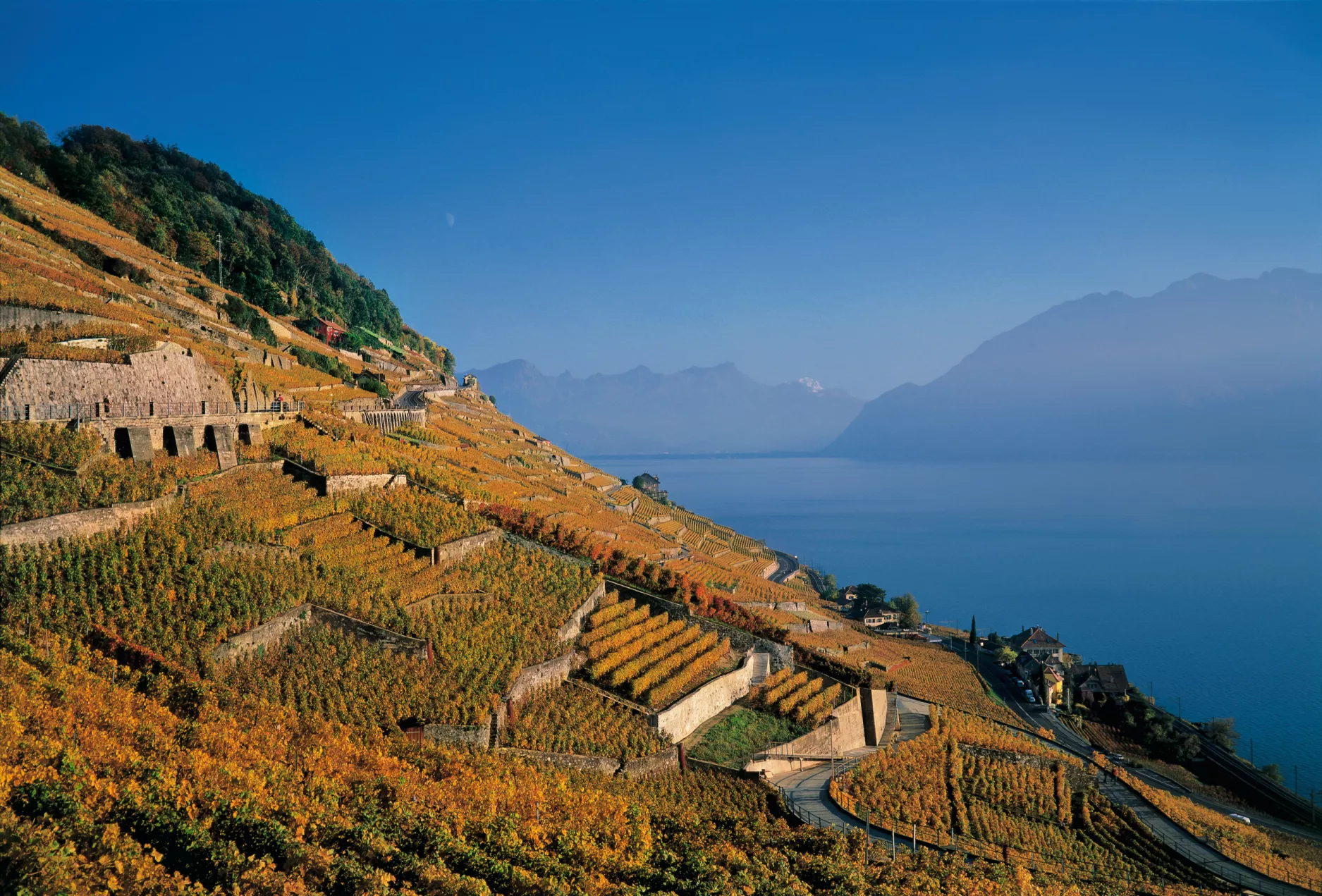 Lac Léman - Lavaux